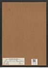Rhaphoneis lancettula Grun. (de-Toni-Nr.: Genus 78, Species 2839) Zeichnungen Sammlung Grunow Mappe 03006 (Herbarium_W_Grunow_drawings_Folder_03006)